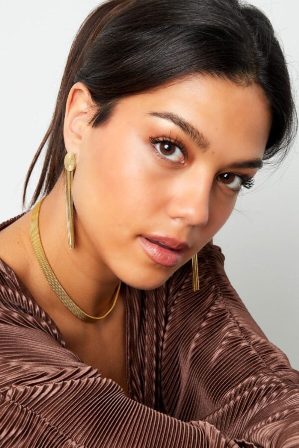 Oorbellen Heart Stripes