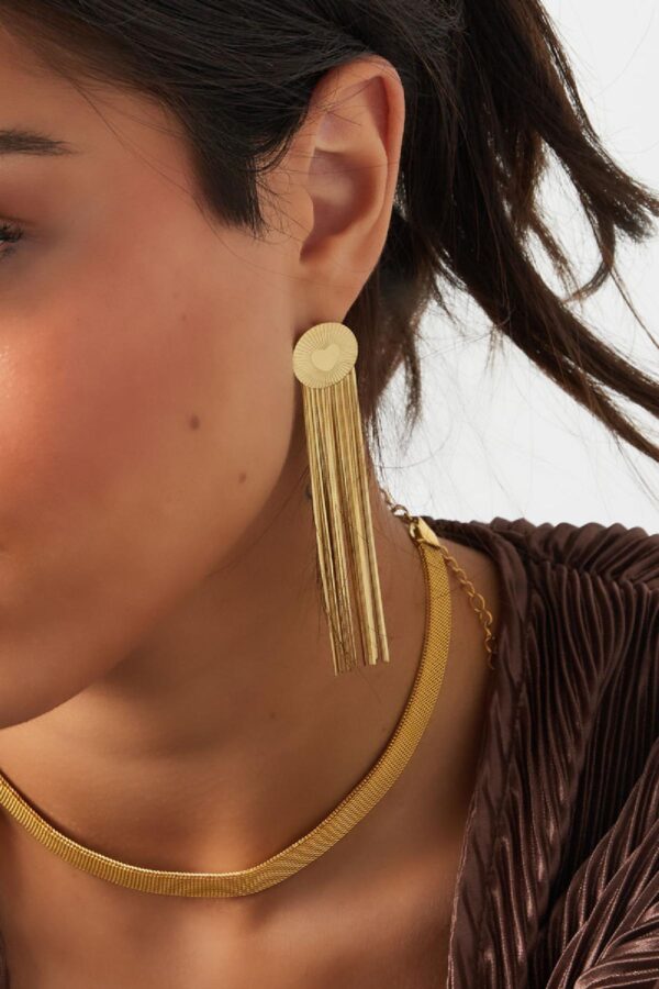 Oorbellen Heart Stripes