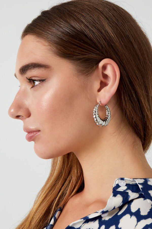 0291230-118-M1 Oorbellen Classy Twist