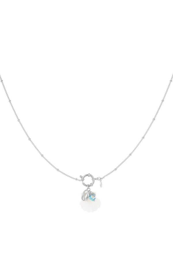 216548-111 Ketting Shell Charm