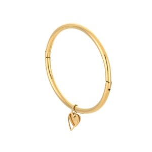 Bangle Fara Goud