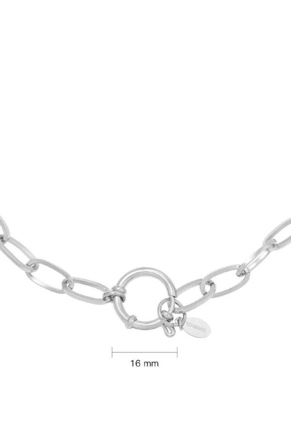 screenshot-59 Ketting Fiene Zilver